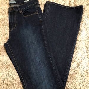 Banana Republic Silah Flare Jeans